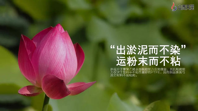 我們不一樣